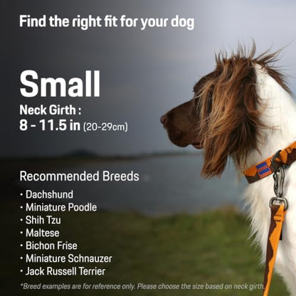 Charlie’s Backyard Teton Dog Collar, Urban to Trail Lightweight & Adjustable with Quick Release DURAFLEX Buckle, Durable D-Ring & All-Day Comfort, Sunset Peaks, Small - color: Sunset Peaks, size: Small