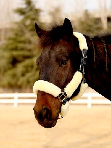 Harrison Howard Fleece Halter Covers for Horses, Set of 9, Prevent Hair Loss Pressure Marks, Padded Horse Halter Fleece Set Pale Canary - color: Pale Canary