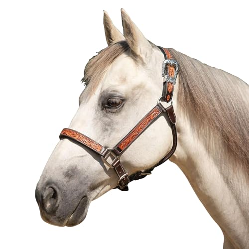 Schneiders McKenzie Padded Leather Ranch Halter for Horses | Premium Argentine Leather with Hand-Tooled Basketweave & Floral Design | Western Style & Comfort Fit