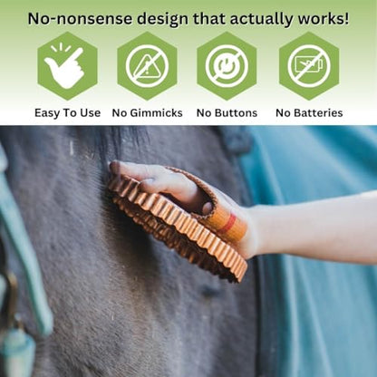 Kawell USA Oval Face Curry Comb Brush for Horse Grooming and Coat Care with Grip Handle