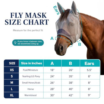 Horse Fly Mask, Super Comfort Fly Masks for Horses, Adjustable UV Protection Breathability Horses Fly Masks with Ears, Pony Mini Equine Fly Mask for Miniature Foal Draft Cob Srabian Full (Gray, M) - size: M