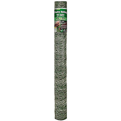 YARDGARD 2 Inch Poultry Netting, Chicken Wire Fence, 20 Gauge Galvanized Steel, Rabbit Fencing, Bird Enclosures, Garden Protection and Plant Support, 60 Inches x 150 Feet - size: 60 Inches x 150 Feet