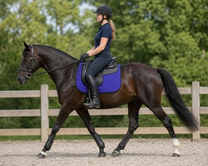 CHALLENGER Horse 23" x 20" English All-Purpose Contoured Quilted Trail Saddle Pad 72143 - color: 퍼플.
