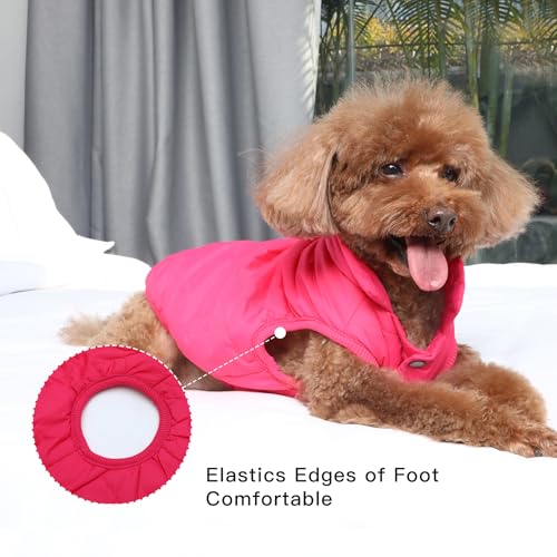 JoyDaog Fleece Lined Dog Jacket for Small Dogs,Winter Dog Coat,Pink M - color: Pink, size: Medium