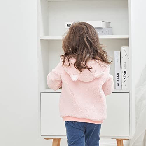 Newborn Infant Baby Boys Girls Cartoon Fleece Hooded Jacket Coat with Ears Warm Todder Kids Outwear Coat Zipper Up 0-6Y - color: Pink, size: 3-6 Months
