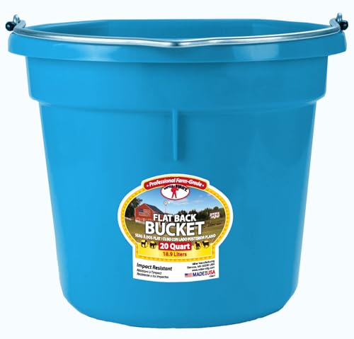 Little Giant® Flat Back Plastic Animal Feed Bucket | Animal Feed Bucket with Metal Handle | Horse Stall Feeding and Watering Supplies (Teal, 20 Quart) - color: Teal, size: 20 Quart