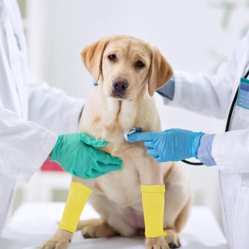 ROZKITCH 4 PCS Dog Arm Sleeves for Licking Scratching Elbow Front Legs - color: Yellow, size: S-Leg Girth: 2.04in