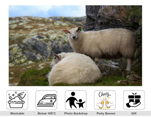 7x5ft Fabric Highland Sheep Backdrop Two Fluffy White Wool Sheep Mossy Grey Rock Grass Hill Countryside Photography Background Tapestry Party Farm Animal Decorations Photo Booth Props - size: 7x5ft