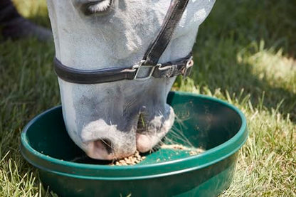3 Gallon Plastic Utility Pan