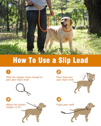 Dog Leash Slip Lead Braided Rope Pet Training Loop Leashes 5ft 6ft 8ft - color: Orange