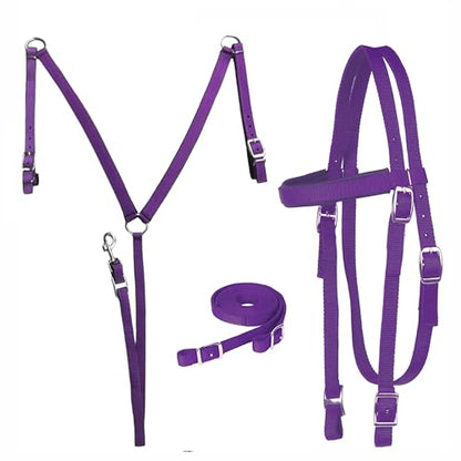 Majestic Ally Nylon Padded Equestrian Browband Headstall, Reins & BreastCollar Set for Horse- Full - color: Purple