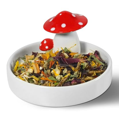 Niteangel Hamster Feeding & Water Bowls- Mushroom Ceramics Series Food Dish Feeding Bowls for Dwarf Syrian Hamsters Gerbils Mice Rats or Other Similar-Sized Small Pets (Feeding Bowl) (Pack of 2) - size: Feeding Bowl (Pack of 2)