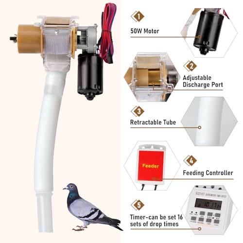 Automatic Chicken Feeder with Timer, Duck Feeder