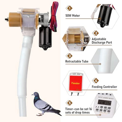 Automatic Chicken Feeder with Timer, Duck Feeder