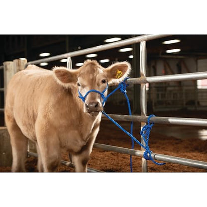 Weaver Livestock Adjustable Poly Neck Rope Cattle Halter, Modern Style Tying Cow Calf Halter, Livestock Handling Equipment for Showing, Blue - color: Blue