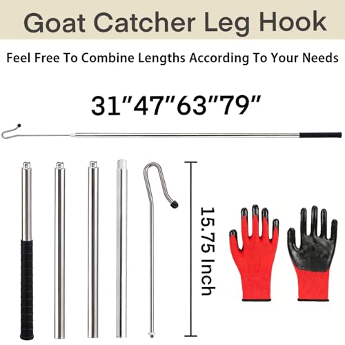 Goat Sheep Catcher Hook, Adjustable Calf Grabber Tool, Heavy-Duty 304 Stainless Steel, 31–79 Inches, Shepherd’s Crook Design, Includes Storage Bag and Protective Gloves, Goat Horn Cover，Ball