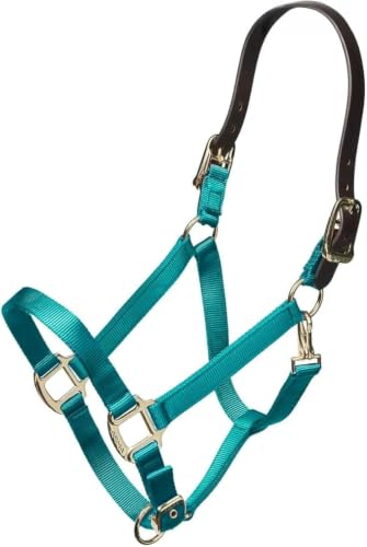 ARMA Shires Nylon Halter with Leather Head Strap - color: Teal, size: Pony