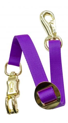 Fully Adjustable Flat Nylon Trailer Tie - color: Purple