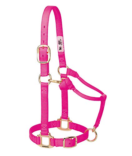 Weaver Leather 35-4805-DP Nylon Miniature Horse Adjustable Halter, Large, Diva Pink
