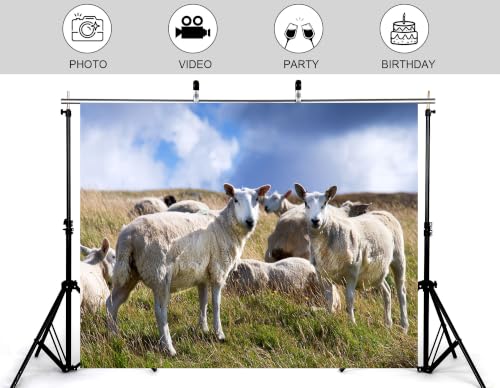 5x4ft Fabric White Wool Sheep Backdrop Flock Grazing Dry Grass Hill Fluffy Cloud Bright Blue Sky Farm Background Tapestry Pasture Animal Decorations Photo Booth Props - size: 5x4ft