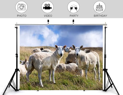 8x6ft Fabric White Wool Sheep Backdrop Flock Grazing Dry Grass Hill Fluffy Cloud Bright Blue Sky Farm Background Tapestry Pasture Animal Decorations Photo Booth Props - size: 8x6ft