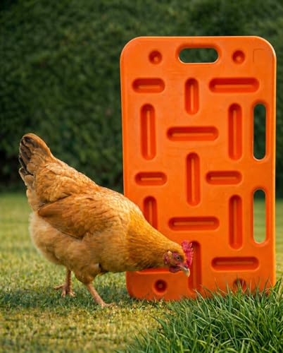 Pig Sorting Board Set – Medium 38" + Small 29" Livestock Sorting Panels