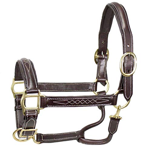 Derby Originals American Elite Fancy Stitch Padded Adjustable Halter - size: Full