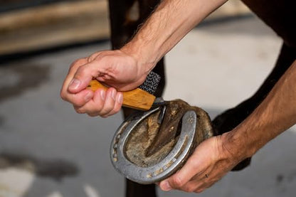 ARTERO hoof Picks for Horses F1. Hoof Pick for Horses and Equine Grooming Supplies.