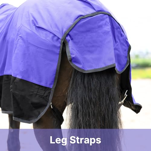 RESISTANCE Premium 1200 Denier Waterproof Horse Turnout Blanket with 300g Polyfill & Adjustable Buckle Closure - color: Purple, size: 84"