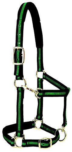 Weaver Leather Nylon Horse Halter, Padded and Adjustable, Chin and Throat Snap Hook Halters for Horses, Brass Plated Halters for Training