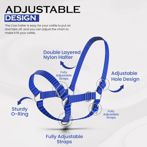 HADZAM Adjustable Nylon Cow Halter | Calf Halter one Halter for (1 Year to Full Size) Easy Adjustable Straps elimates the Need of Ill-Fitting Cattle Halter - color: BLUE