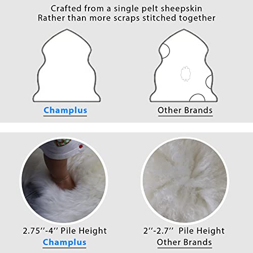 Champlus Genuine Australian Merino Sheepskin Rug, 2.3x3.3 ft Sheep Skin Fur Rug, Lambskin Area Rug, Single Pelt, White - size: 2'4" x 3'4" (Natural)
