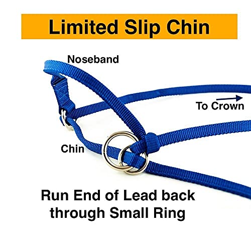 Extra Small - Sheep, Goat, Small Calf Adjustable Halter & Lead USA 250-700bs (Neon Lime Green)