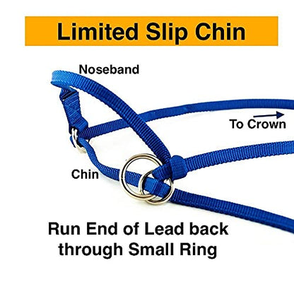 Extra Small - Sheep, Goat, Small Calf Adjustable Halter & Lead USA 250-700bs (Neon Lime Green)