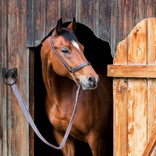 4Pcs Black Cross Tie Rings for Horses