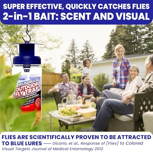 1 Reusable Outdoor Fly Trap with Chains with 5 Non-Toxic Dissolvable Bait Refills