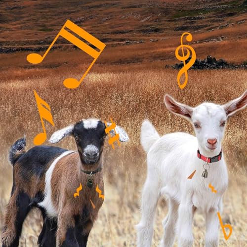 5 Pack Reflective Goat Collars with Grazing Copper Bells and Adjustable Nylon Collar with Anti-Lost Loud Bronze Bell for Farm Animal Goat Sheep Horse Cow(Size:M Neck:14-20") - size: M-Medium(Neck 14-20")
