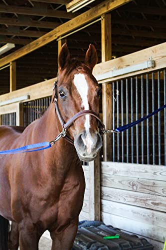 Tack Shack of Ocala Nylon Quick Release Cross Ties, Set of 2, Cross Ties for Barn, Stable Supplies - color: Navy