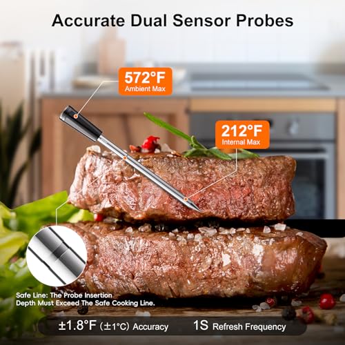 Newise Wireless Meat Thermometer Digital - 2 Probes - style: 2 Probes