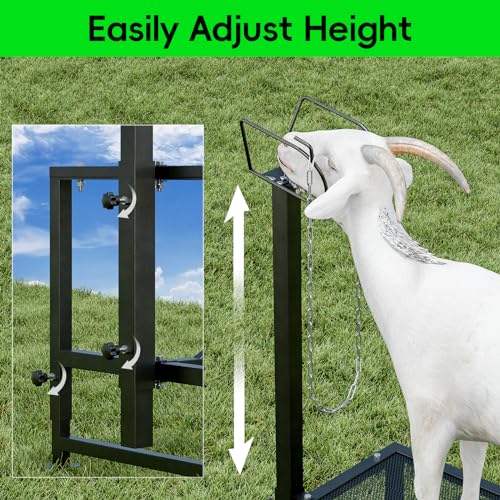 Metal Trimming Stand for Sheep Goat Milking Stand with a Ramp Livestock Stand with Adjustable Headpiece Goat Milking Stand for Clipping Hooves Black - color: Black + Ramp