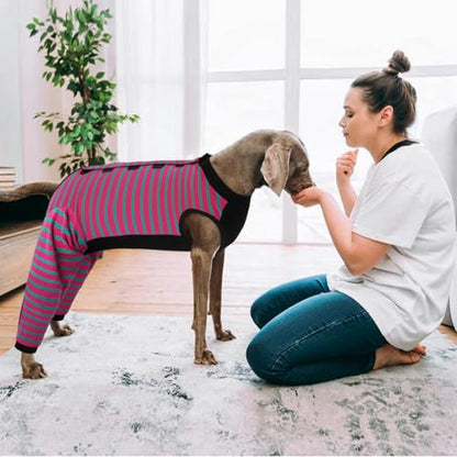 Kuoser Dog Recovery Suit with Anti Licking Rear Leg Sleeve, Rose L - color: Rose Strips, size: Large (Back Length: 40cm / 15.74")