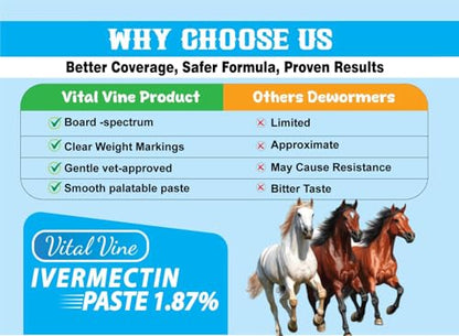 VITALVINE Ivermectin 1.87% Paste for Horses – Apple Flavor 6.08g Syringe, Treats Horses Up to 1250 lbs (3-Pack)