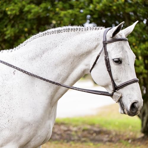 Equinavia Valkyrie Fancy Stitched Padded Cavesson Hunter Bridle with Reins - size: Horse
