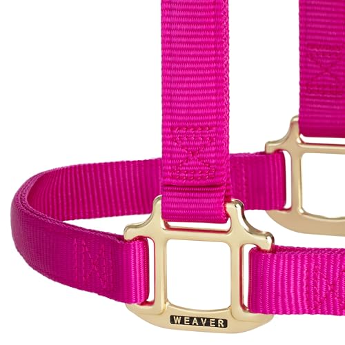 Weaver Leather Original Non-Adjustable Nylon Horse Halter