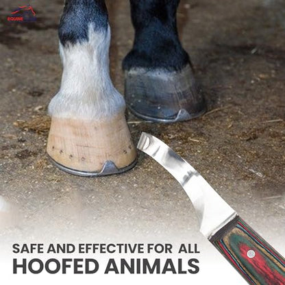 Equine Care Right-Handed Farrier Hoof Knife, Horses Goats Sheep, Red Handle | Farrier hoof knife for horses, goats, sheep and cattle; J2 stainless steel curved blade; red layered handle. - style: Right-Handed