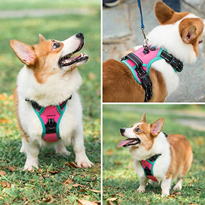 PHOEPET Upgraded No Pull Dog Harness, Reflective Adjustable Vest - color: Pink, size: Extra Small