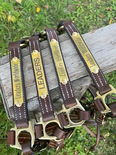Leaders Leather Halter for Horses with Customized Engraved Name Plate Option Halter for Horse - size: Cob Size
