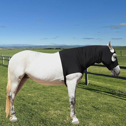 Leberna Stretch Horse Hood with Zip Full Face Neck Cover (Black, S) - color: Black, size: S