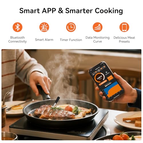 Newise Bluetooth Wireless Meat Thermometer - Long Range & Fast Charge - style: 1 Probe