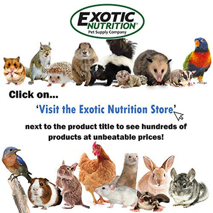Exotic Nutrition Baby Squirrel Nursing Set (Basic) - Milk Replacer, Feeding Syringes - size: Basic
